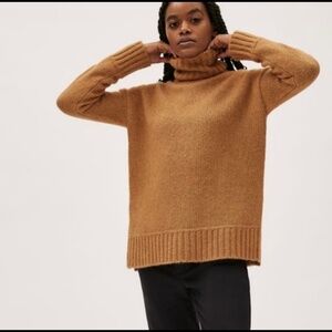 Everlane Women’s The Cloud Turtleneck Alpaca Wool Blend Brown Sweater New Small